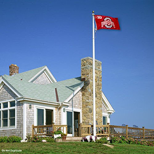 College Flags & Banners Co. Ohio State Buckeyes Big 10 Flag - 757 Sports Collectibles