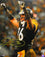 Hines Ward Signed Arms Up Celebrating Photo 16x20 HM Photo- Beckett W Yellow - 757 Sports Collectibles