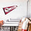 WinCraft Arizona Cardinals Official 30 inch Large Pennant - 757 Sports Collectibles