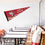 WinCraft San Francisco 49ers Pennant Banner Flag - 757 Sports Collectibles