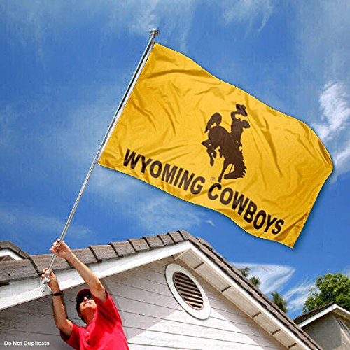 College Flags & Banners Co. Wyoming Wordmark 3x5 Grommet Flag - 757 Sports Collectibles