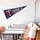 Minnesota Twins Large Pennant - 757 Sports Collectibles