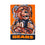 Team Sports America Chicago Bears Suede Garden Flag 12.5 x 18 Inches Justin Patten - 757 Sports Collectibles