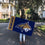 Desert Cactus Montana State University Flag Bobcats MSU Cats Flags Banners 100% Polyester Indoor Outdoor 3x5 (Team Name) - 757 Sports Collectibles