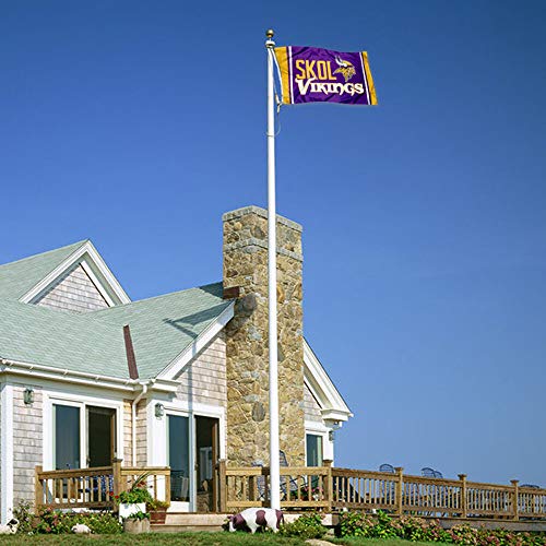 WinCraft Minnesota Vikings Skol 3x5 Outdoor Pole Flag - 757 Sports Collectibles