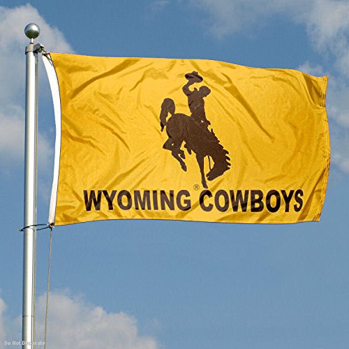 College Flags & Banners Co. Wyoming Wordmark 3x5 Grommet Flag - 757 Sports Collectibles