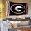 Georgia Bulldogs Black Large Outdoor Banner Flag - 757 Sports Collectibles