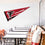 WinCraft Atlanta Falcons Pennant Banner Flag - 757 Sports Collectibles