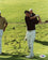 Jesper Parnevik Golf Signed Authentic 8X10 Photo Autographed PSA/DNA #M42470 - 757 Sports Collectibles