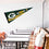 WinCraft Green Bay Packers Go Pack Go Pennant Banner Flag - 757 Sports Collectibles