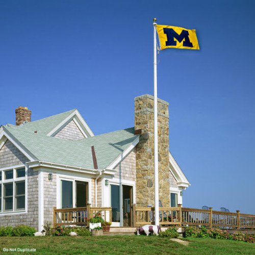 College Flags & Banners Co. Michigan Yellow Large Outdoor Indoor Flag - 757 Sports Collectibles