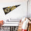 WinCraft Boston Bruins Pennant - 757 Sports Collectibles