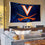 Virginia Cavaliers Banner and Tapestry Wall Tack Pads - 757 Sports Collectibles