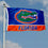 College Flags & Banners Co. Florida Gators Double Sided Flag - 757 Sports Collectibles