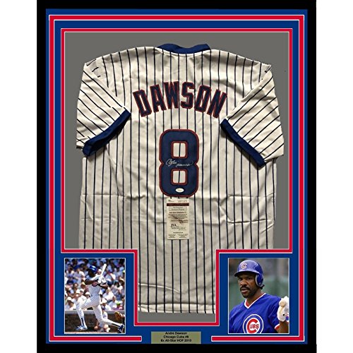 Framed Autographed/Signed Andre Dawson 33x42 Chicago White Pinstripe Baseball Jersey JSA COA