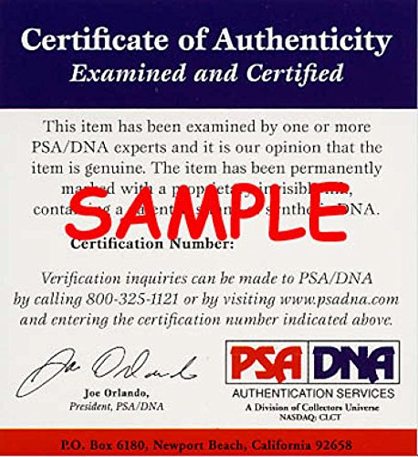 CRAIG BIGGIO Signed PSA DNA COA Major League OML Baseball Authentic Autograph - 757 Sports Collectibles