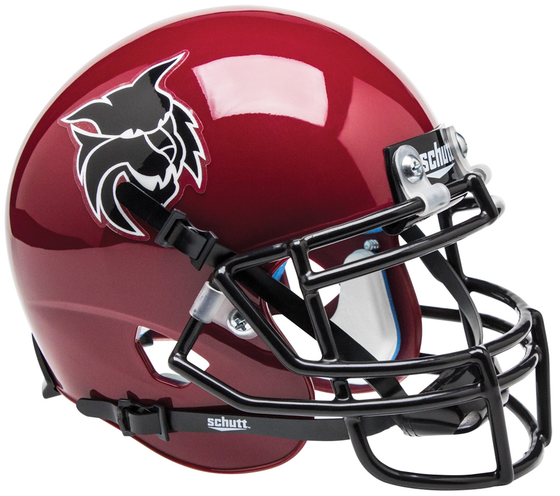 Central Washington Wildcats Mini XP Authentic Helmet Schutt