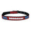 Carolina Panthers Signature Pro Collars by Pets First