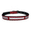 Las Vegas Raiders Signature Pro Collars by Pets First