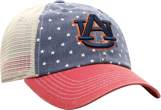 Top of the World Men's Adjustable Freedom Icon Hat