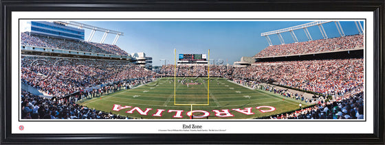 South Carolina Gamecocks "End Zone" Panorama Photo Print - 757 Sports Collectibles