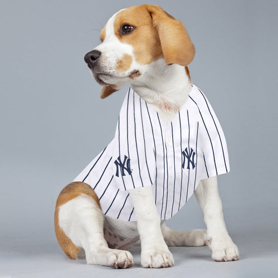 Aaron Judge Jersey Pets First - 757 Sports Collectibles