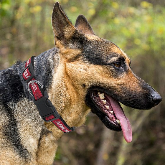 Arkansas Razorbacks Dog Collar Pets First - 757 Sports Collectibles