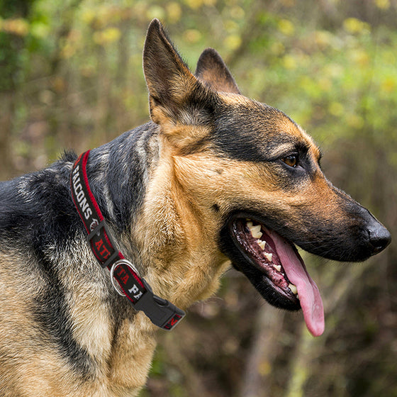 NFL Atlanta Falcons Dog Collar Pets First - 757 Sports Collectibles