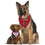 Atlanta Falcons Reversible Bandana Pets First - 757 Sports Collectibles