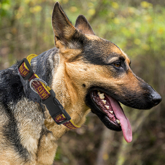 Cleveland Cavaliers Dog Collar Pets First - 757 Sports Collectibles