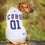 Chicago Cubs Dog Jersey Pets First - 757 Sports Collectibles