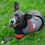 Denver Broncos Hoody Dog Tee Pets First - 757 Sports Collectibles