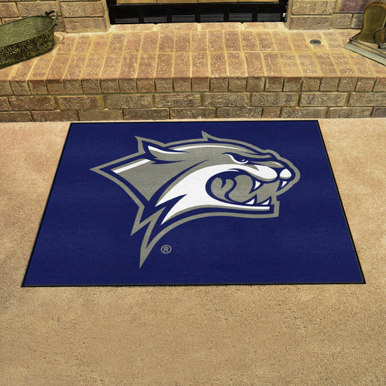 New Hampshire Wildcats All-Star Rug - 34 in. x 42.5 in.