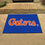 Florida Gators All-Star Rug - 34 in. x 42.5 in., "Gators"