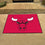 Chicago Bulls All-Star Rug - 34 in. x 42.5 in.