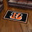 Cincinnati Bengals 3ft. x 5ft. Plush Area Rug