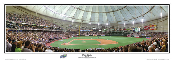 FL-102 Tampa Bay Rays First Pitch