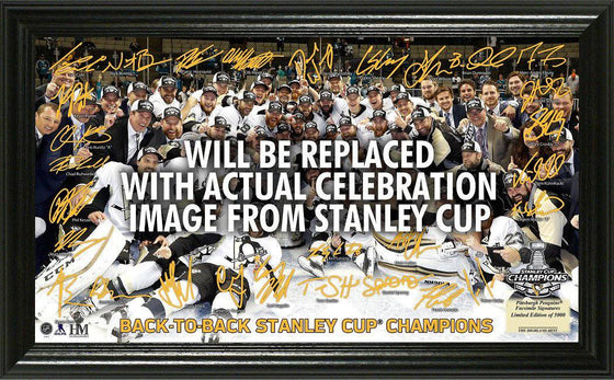 2017 Stanley Cup Champions Signature Rink (HM) - 757 Sports Collectibles