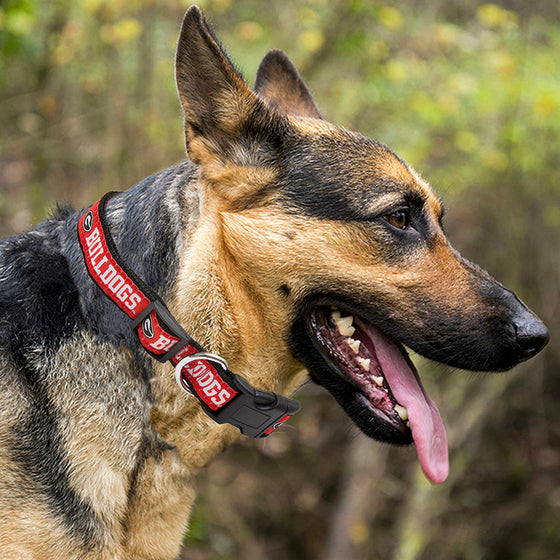 Georgia Bulldogs Dog Collar Pets First - 757 Sports Collectibles