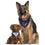 Houston Texans Reversible Bandana Pets First - 757 Sports Collectibles