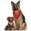 Carolina Hurricanes Reversible Bandana Pets First - 757 Sports Collectibles