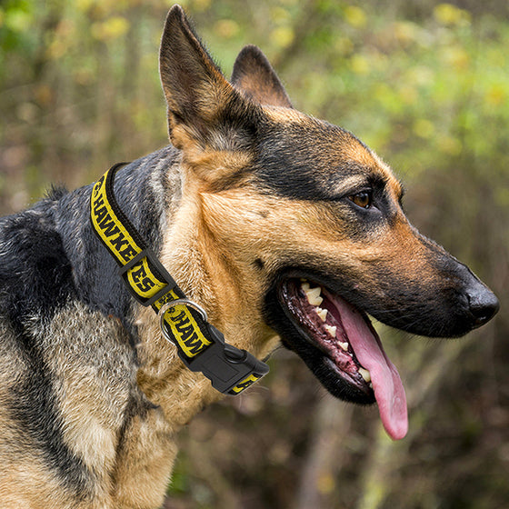 Iowa Hawkeyes Dog Collar Pets First - 757 Sports Collectibles