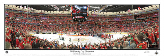 IL-383 Chicago Blackhawks 2015 Stanley Cup Celebration