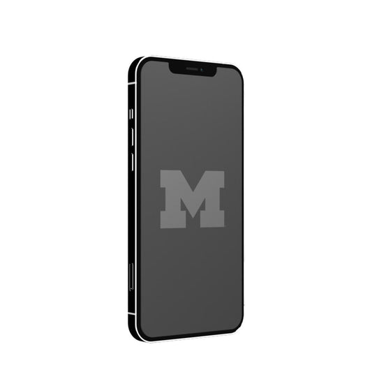 Michigan Wolverines Etched Screen Protector-0