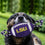 LSU Tigers Nylon Football Dog Toy Pets First - 757 Sports Collectibles