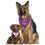 LSU Tigers Reversible Bandana Pets First - 757 Sports Collectibles