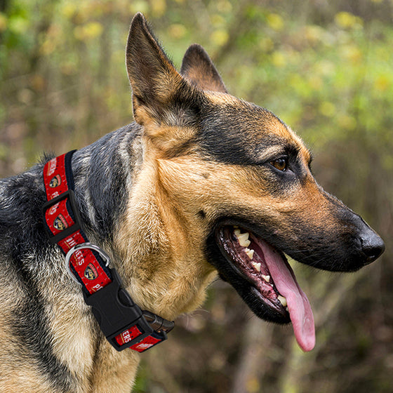 Florida Panthers Dog Collar Pets First - 757 Sports Collectibles