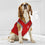 Houston Rockets Dog Jersey Pets First - 757 Sports Collectibles