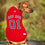 Boston Red Sox Jersey Pets First - 757 Sports Collectibles