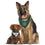 Dallas Stars Reversible Bandana Pets First - 757 Sports Collectibles